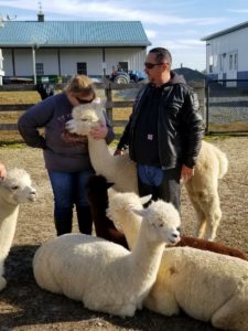 Motorcycle Trip to The Painted Sky Alpaca Farm 