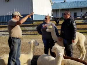 Motorcycle Trip to The Painted Sky Alpaca Farm 