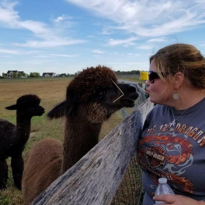 Motorcycle Trip to The Painted Sky Alpaca Farm 